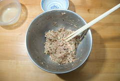 psu_20080101-00064