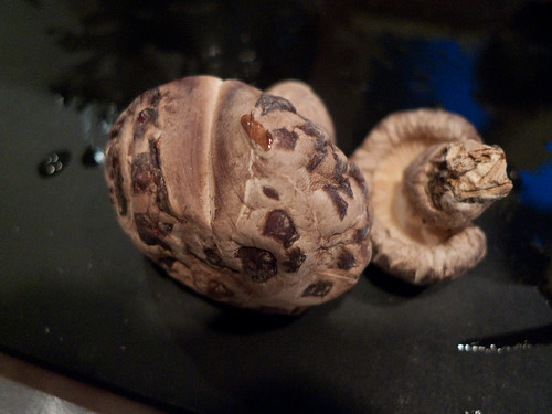 P1000192