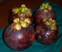 mangosteens